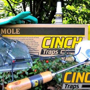 CINCH Traps Deluxe Mole Kit