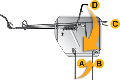 How to set a CINCH Trap Step 1