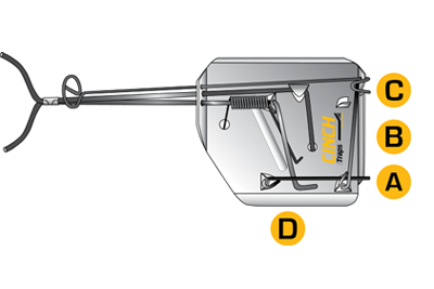 How to set a CINCH Trap Step 3