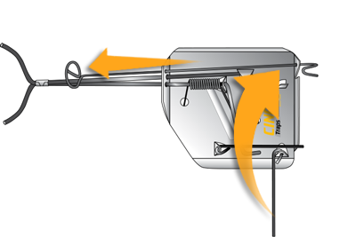 Set CinchTraps View 2