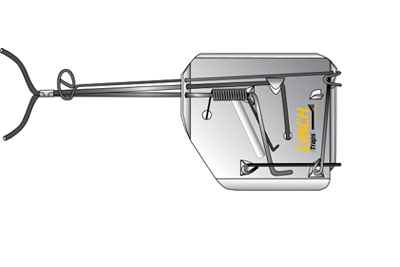 Set CinchTraps View 3